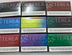 TEREA Keluaran PT. HM Sampoerna Diduga Langgar Undang-Undang