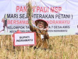 Terbesar di Indonesia, Indramayu Berhasil Lakukan Perluasan Areal Tanam 12.887 Hektare