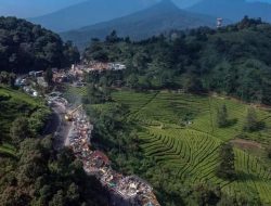 Pengacara Koboy Mempertanyakan Kewenangan PJ Bupati Bogor Dalam Melakukan Penggusuran Pedagang Jalur Puncak Bogor